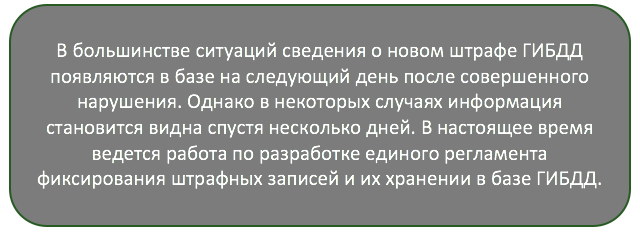 Через какое время штрафы появляются в базе.