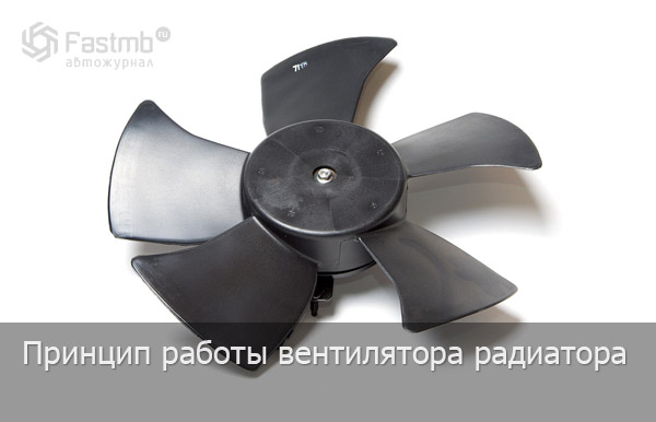 Мотор вентилятора охлаждения радиатора.
