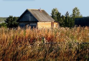 Штраф за нескошенную траву.