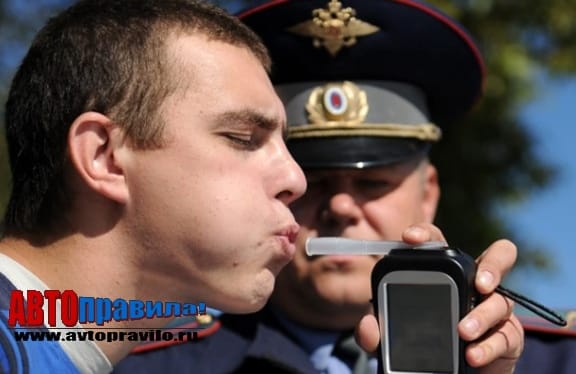 Сколько можно выпить водки за рулем.