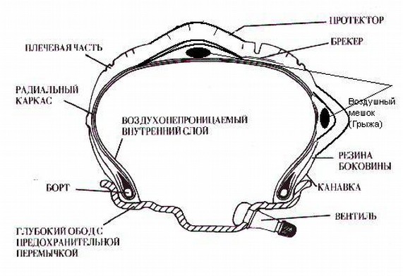 Сколько стоит боковой порез.