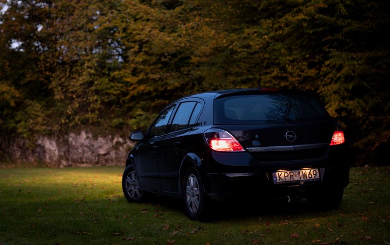 Opel Astra forest